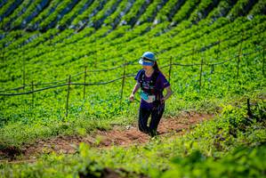 BIB: 
                            <button type="button" onclick="openModal(19162871)" class="btn btn-primary btn-sm float-right btn-popup" data-toggle="modal" data-target=".modal-high-quality">
                        <i class="fas fa-shopping-cart"></i> Add to Cart
                    </button>
                                            <button type="button" onclick="isThisMe(19162871, true)" class="btn btn-success btn-sm float-right btn-popup btn-isme hidden" data-toggle="tooltip" data-placement="bottom" title="นี่คือรูปของคุณใช่ไหม คลิกที่นี่เพื่อเอาเข้าอัลบั้ม">
                        <i class="fas fa-plus"></i> Add to album
                    </button>
                    <button type="button" onclick="isThisMe(19162871, false)" class="btn btn-warning btn-sm float-right btn-popup btn-isnotme hidden">
                        <i class="fas fa-ban"></i> Remove from album
                    </button>